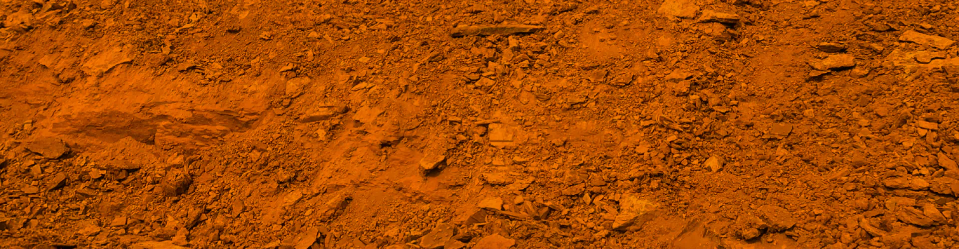 Smith’s Excavating & Beyond bc