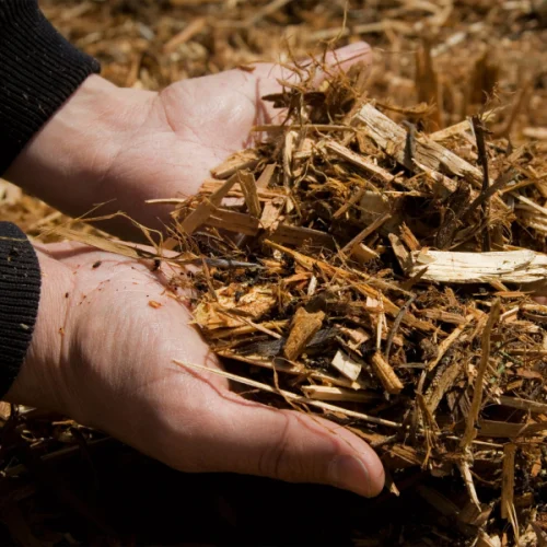 service tab forestry mulching